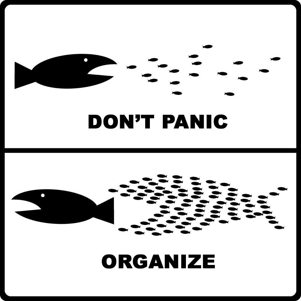 ORGANITZACIÓ